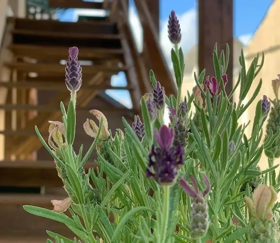 Lägenhet Le Grand Lore *